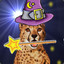 CheetahWizard