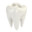 CrucialTooth45