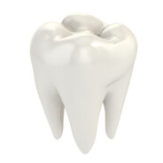 CrucialTooth45