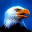 Bald_Eagle