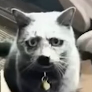 John Dark Souls