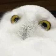 Metro's avatar