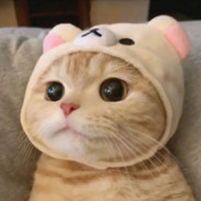 唐门当代毕加思索