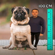 респект мужикам