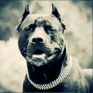 bob_marley - steam id 76561197960367959