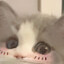 追赶人生