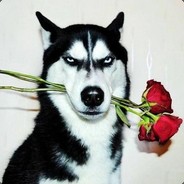 总有地上的生灵敢于直面滋崩的威光