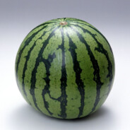 Arbyz - steam id 76561199772729968