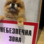 aroundthefur