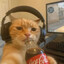 JOHNNY BECK's avatar