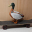 Skate Duck