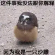 西柚白茶