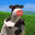 moo3441