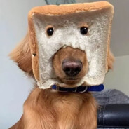 十一点准时睡觉