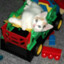 Kitty 2
