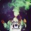 Waywe#F
