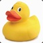 Quackky