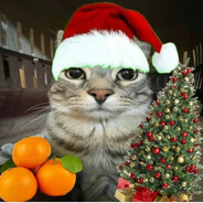 𝓬𝓱𝓪𝓹𝓾𝓹𝓲𝓴