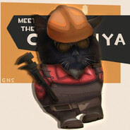 maksiiimledenev8112011