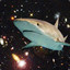 sharksinspace18