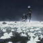 Nier
