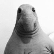 ждун - steam id 76561199804628872