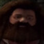 PS2 Hagrid