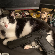 Literally me(gatron)