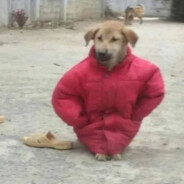 无敌暴龙战士2号