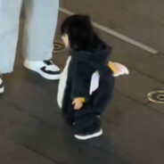 猫猫要睡图书馆