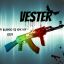 Vester