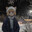 CoolToastM5