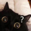 DecCat