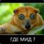 Кардан