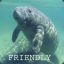 Whirling Manatee [Friendly]