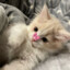 sunnychka