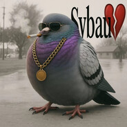 пернытые сырдель