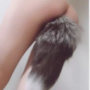 飞翼阿娜塔西亚