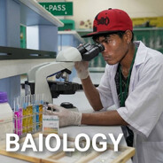 Baiology (Rks)