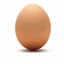 egg