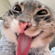 golfball mouse user #RawInput