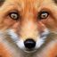 re])fox