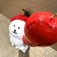 离过婚知道怎么疼男人