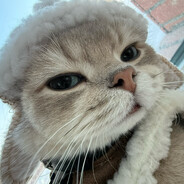 Уверенность (в се