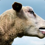 Kindje3 avatar