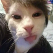 阳向心美Official