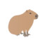 Capybara Enthusiast