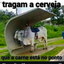 cachaço