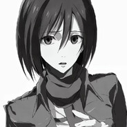 Mikasa