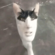 Ｂｕｃｚｕｒ